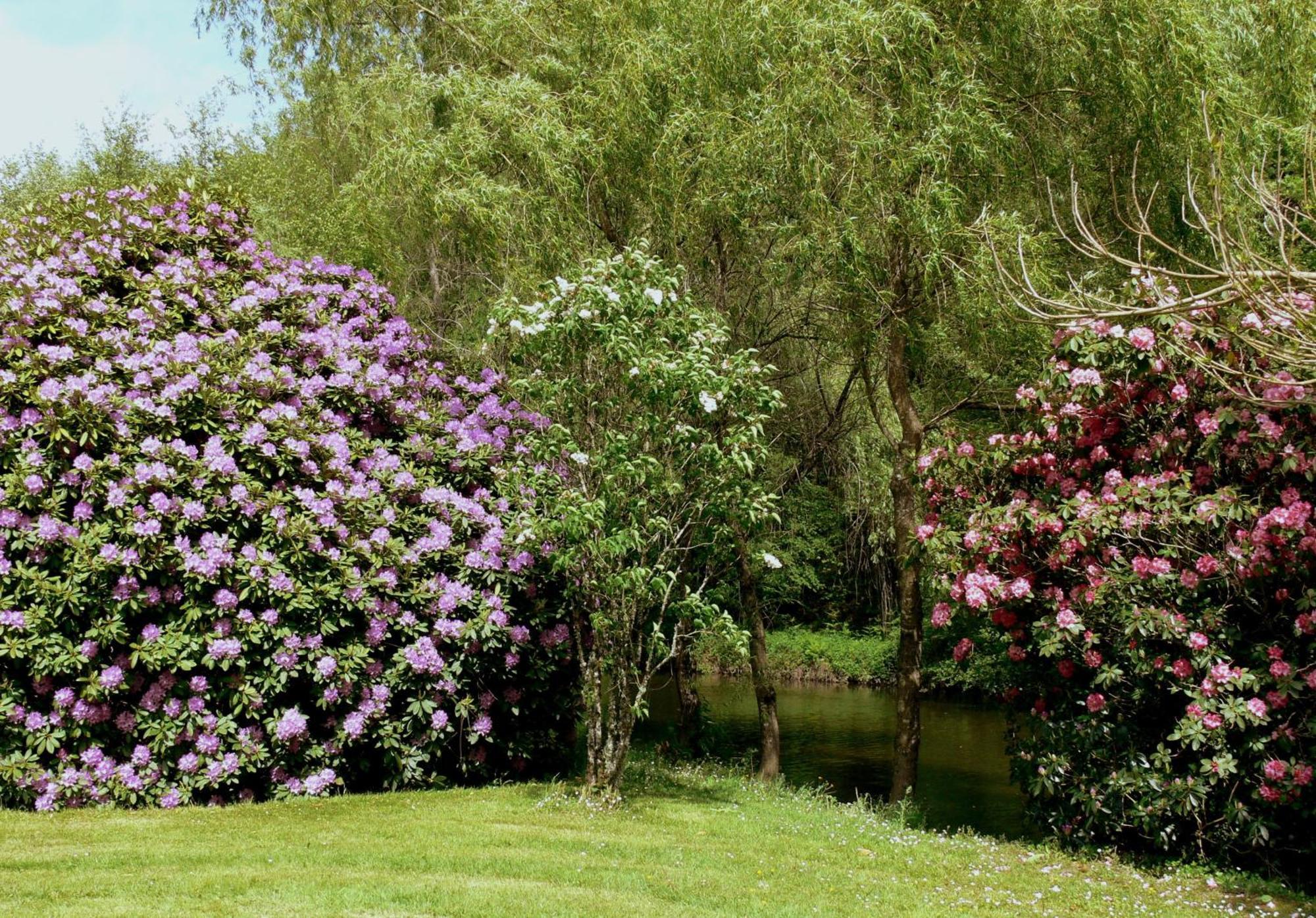 Domaine De La Brugere Bed & Breakfast Nantheuil Exterior foto